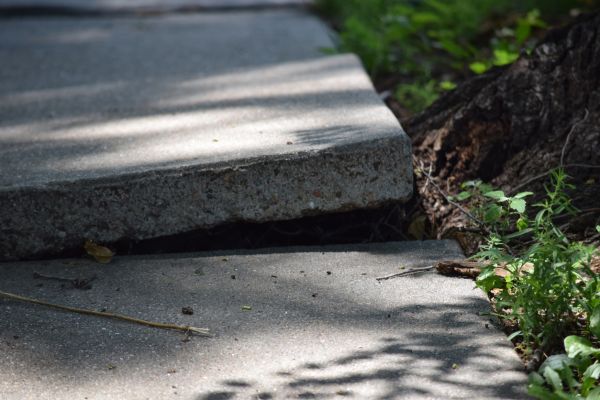 Cost of Sidewalk Leveling in Reston
